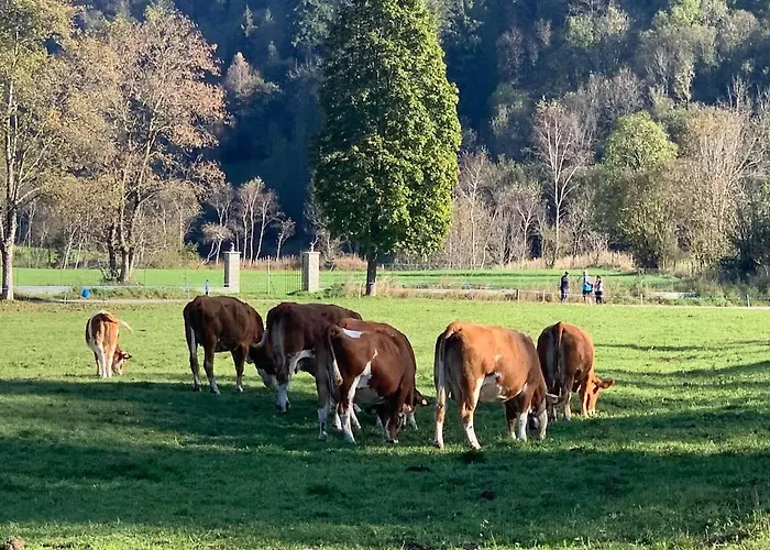 94 Дом отдыха *